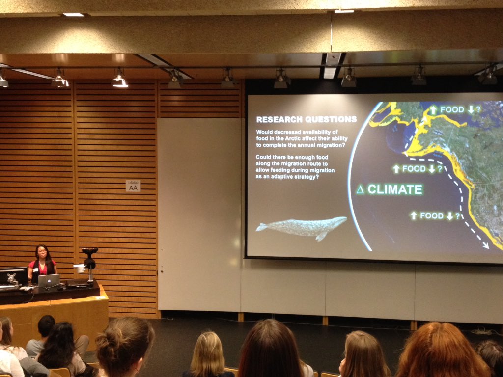 MMeanLab's tweet photo. Selina Agbayani (UBC) using bioenergetics to model effects of climate change on Pacific Grey whales @UBCoceans #NWSSMM https://t.co/4jiKH6OAJG