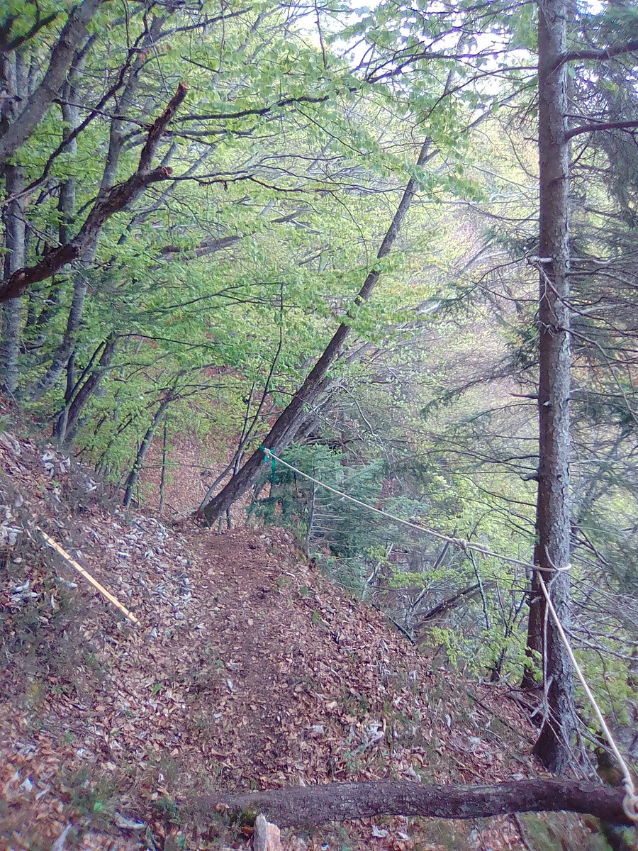 brentaskyrace's tweet photo. Lower trail parts are completed. Now we wait the good weather to prepare the higher way!

Campodenno, 9 july 2017 #dolomitidibrenta https://t.co/BYZZY8sRIT