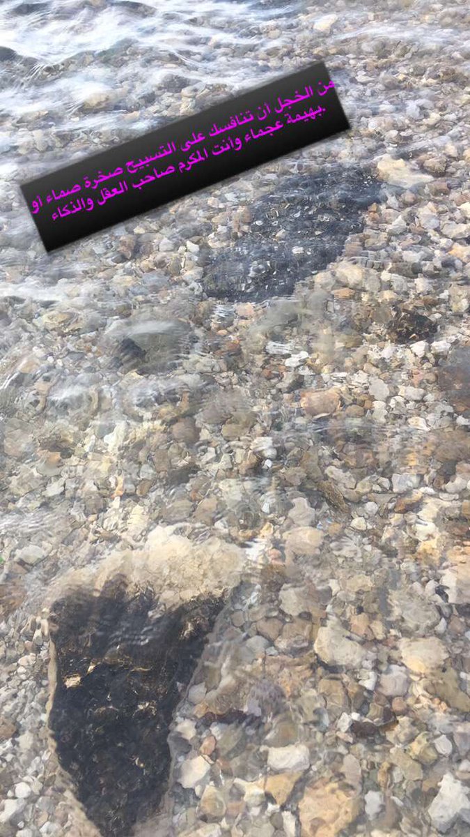 1Mriom's tweet photo. من الخجل ان تنأفسك ع التسبيح صخرة صماء او بهيمة عجماء وانت المكرم صاحب العقل والذكاء. https://t.co/BFtoqZRo17