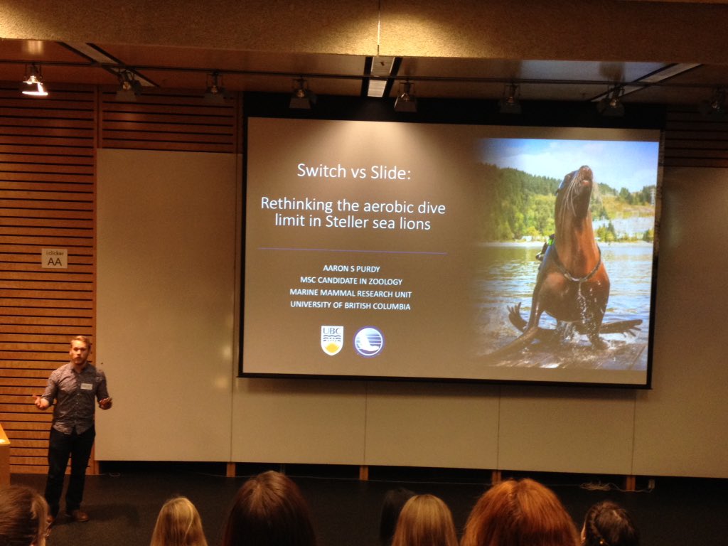 MMeanLab's tweet photo. Aaron Purdy @UBCoceans finds aerobic dive limit not a distinct barrier in trained Steller sea lions #NWSSMM https://t.co/cT5YtkrEU2
