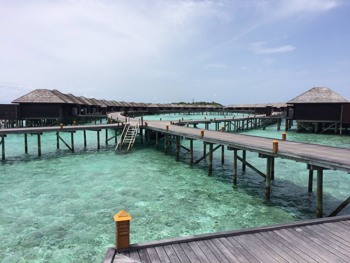 TripcorTravel's tweet photo. Sometimes, it takes an (overwater) village. #NewDigs #Maldives #AllInclusive #SunsetSuite https://t.co/8FNRYxMXG0