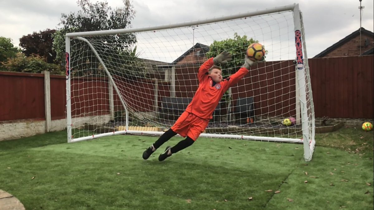 Steve Ley tweet media