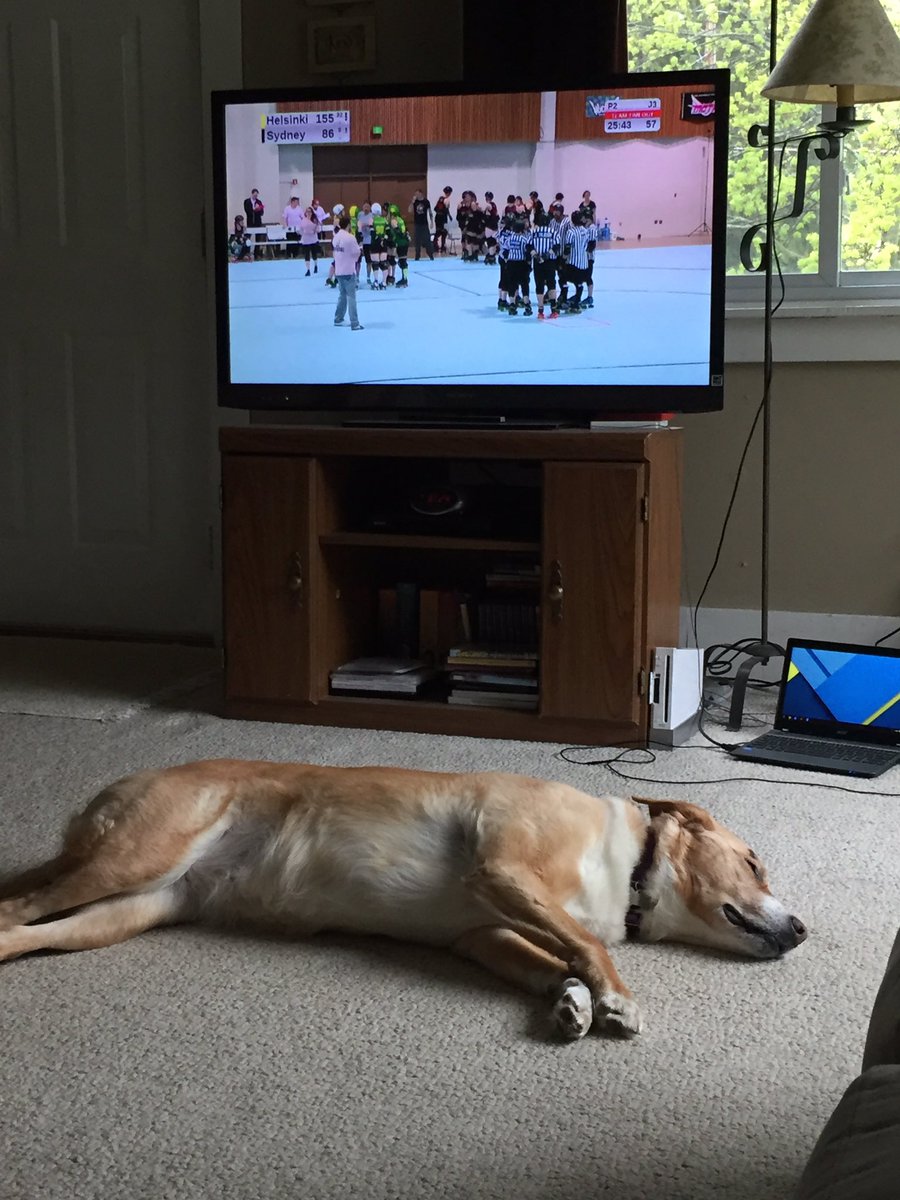 Meaniac3186's tweet photo. #bigodogs https://t.co/fTeeuMHlZu