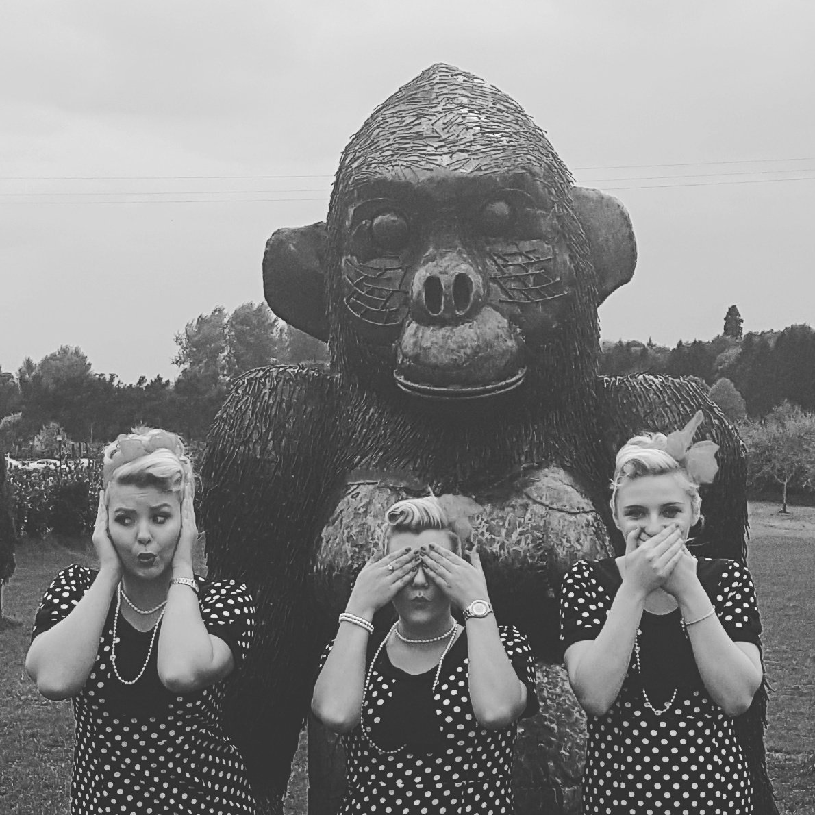 theretroroses's tweet photo. We hope you are having a cheeky Saturday whatever you lovely people are up to 😘😘😘 #music #vintage #retro #hearnoevilseenoevilspeaknoevil https://t.co/lv9E8j0jSh