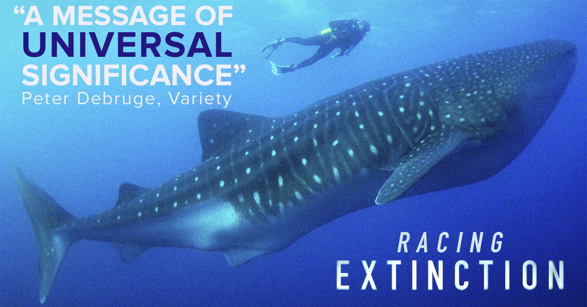 RacingXtinction's tweet photo. You can now watch #RacingExtinction on @Hulu! https://t.co/h7cfI1l6Ci https://t.co/tKS0pFZGQo