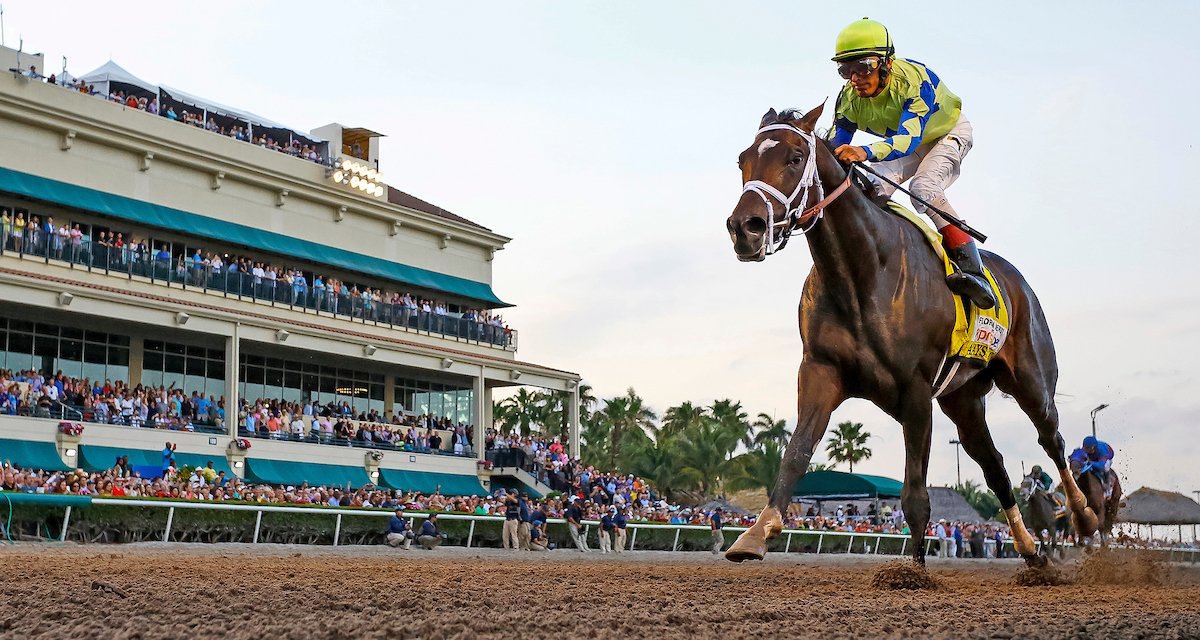 BreedersCup's tweet photo. Congratulations to Always Dreaming and connections on winning the 143rd @KentuckyDerby! #KYDerby 

📸@EclipseSports https://t.co/dnLQ2AmIRM