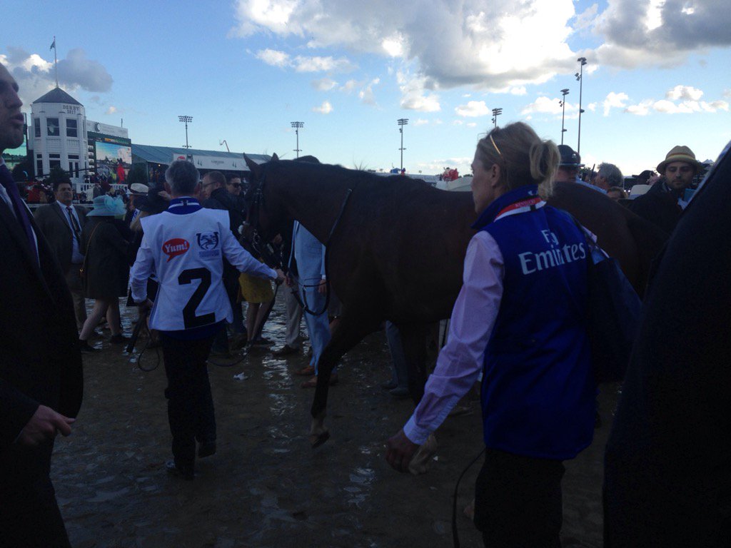 NRussoRacing's tweet photo. Dark, but here's Thunder Snow headed home sound. Spent race in paddock. #KyDerby https://t.co/8e4y9jGFuQ