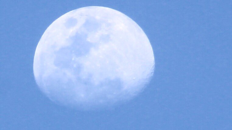 fotogarrido's tweet photo. Así luce la vespertina sabatina y madrugadora #Luna sobre la Heroica #Veracruz.
18:50 #06May2017 https://t.co/Qpa0RQYMCG