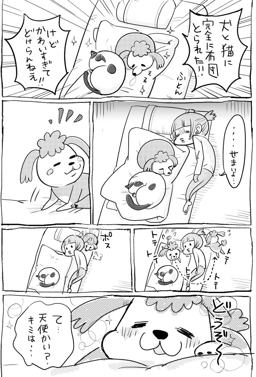 犬と猫どっちも飼ってると犬の謙虚ぶりと猫のふてぶてっぷりで毎日たのしい 