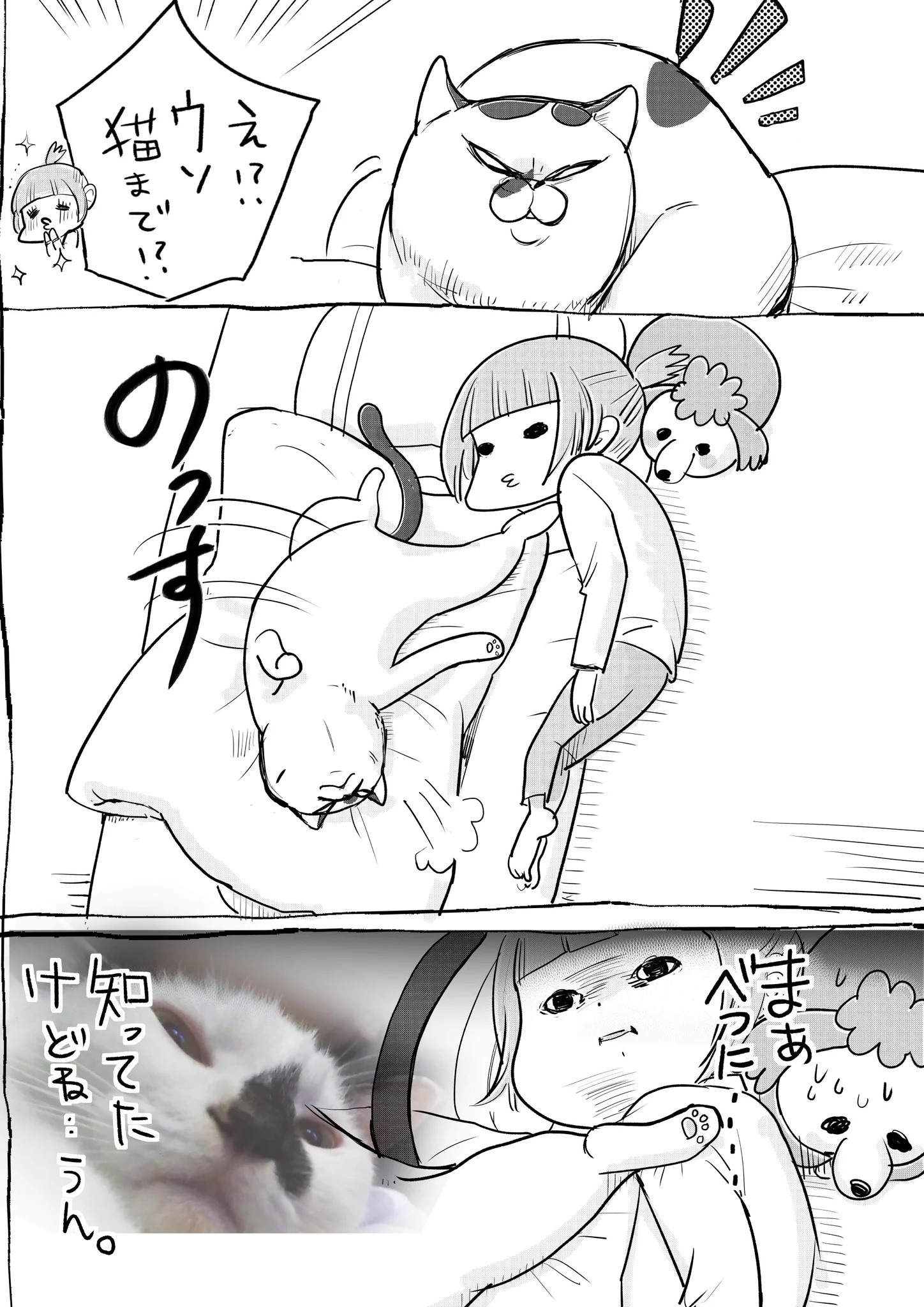 犬と猫のの違いがよくわかる！謙虚なワンコとふてぶてしすぎるニャンコw