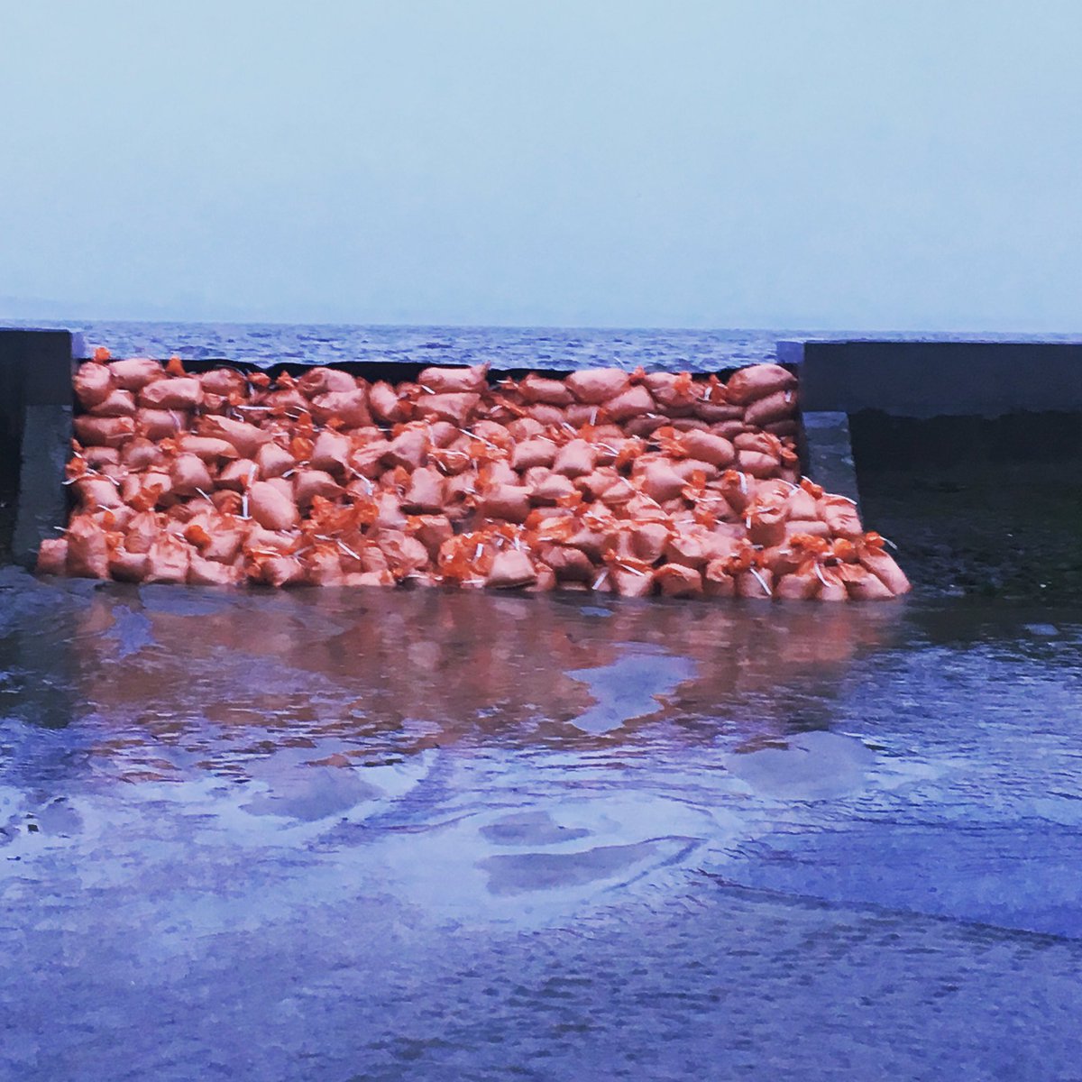 Bad floods here in #ottawa #ottcity #ottnews #ottstorm Levy just holding in Britannia Village