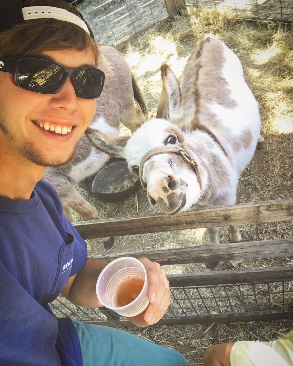 JessRasanen's tweet photo. I met the happiest donkey on the planet today #InTheMorningImMakingWaffles https://t.co/e0QEDguiJp