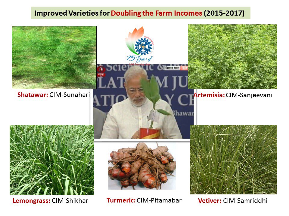 Central Institute of Medicinal and Aromatic Plants strives to empower Farmers and Herbal industry through Medicinal and Aromatic Plants.