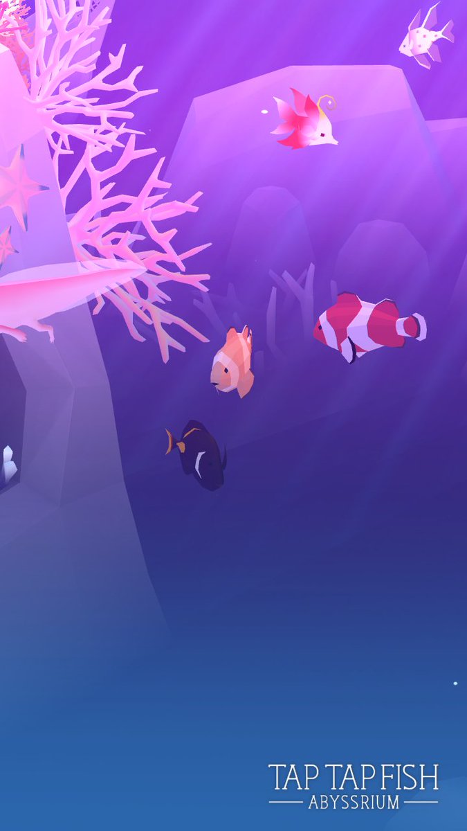 M10350910's tweet photo. My Percula Clownfish:) 
#taptapfish
Download: https://t.co/mJdjA8eqvP https://t.co/bY24MidFAS