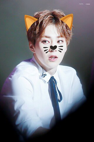 Jooheon_Min's tweet photo. Как сделать котика легкий туториал :
Готово, вы прекрасны! 
#exo #xuimin #minseok #KimMinseok https://t.co/SRjOlDDxMd
