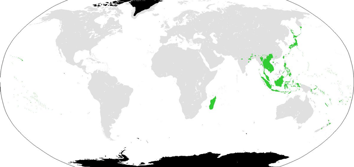 NewJapanBanzai's tweet photo. @Tahmahrahh17 Japanese is not altaic. japanese is isolated or para-austronesian. Ainu is part of Austric. not altaic.
Altaic theory is discredited. https://t.co/nz7BXsFOOK