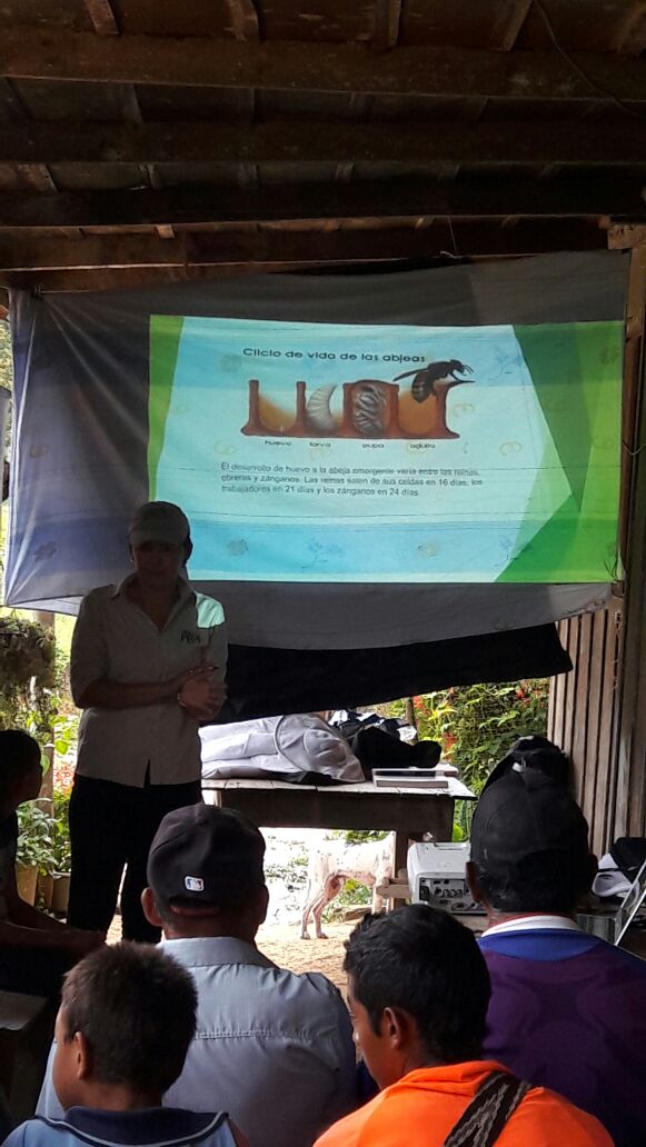 agrosolidariac's tweet photo. Formación de futuros apicultores de @Codazzi_informa, diversificar para dinamizar la economía campesina. #apicultura Agrosolidaria Codazzi https://t.co/IrDWXSbtTq