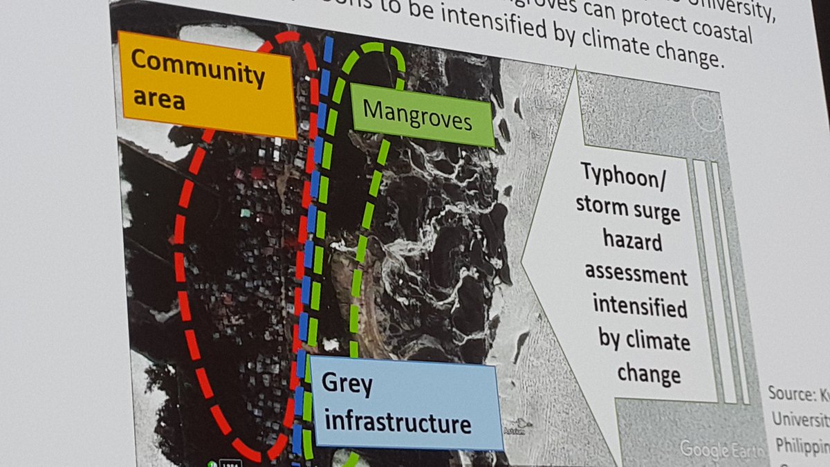 sue02nazal's tweet photo. Science community and NGO collaboration to adapt to typhoons in the Philippines.an initiative by @ConservationOrg #ADBCSO https://t.co/HMRt7QfdiJ