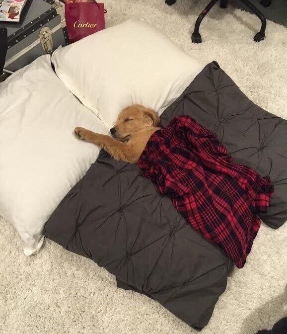 tvlerthegamer's tweet photo. "How do you deal with your problems?" https://t.co/AiT39F5n4t