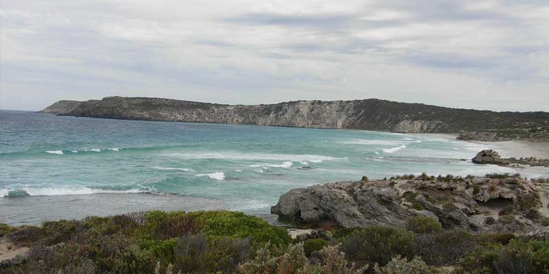 Live in #Kingscote <a href="/kangaroo_island/">Kangaroo Island</a> ? Visit us at the Town Hall between 1-8pm on Weds to let us know  your thoughts on <a href="/SAWaterCorp/">SA Water</a>