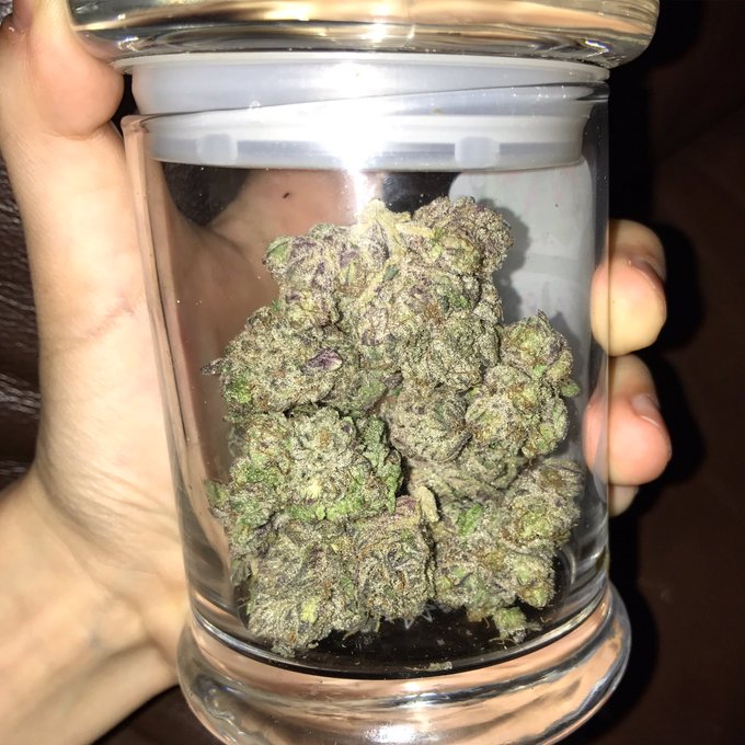 Grape Jelly Donut 🍇🍩 https://t.co/cqgduWwxiN<a href="/tag/santaclaratstheerastour"class="tags"><span>#santaclaratstheerastour</span></a>