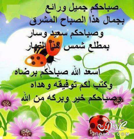 اللهم بك أصبحنا. .صباح الخير 🌹