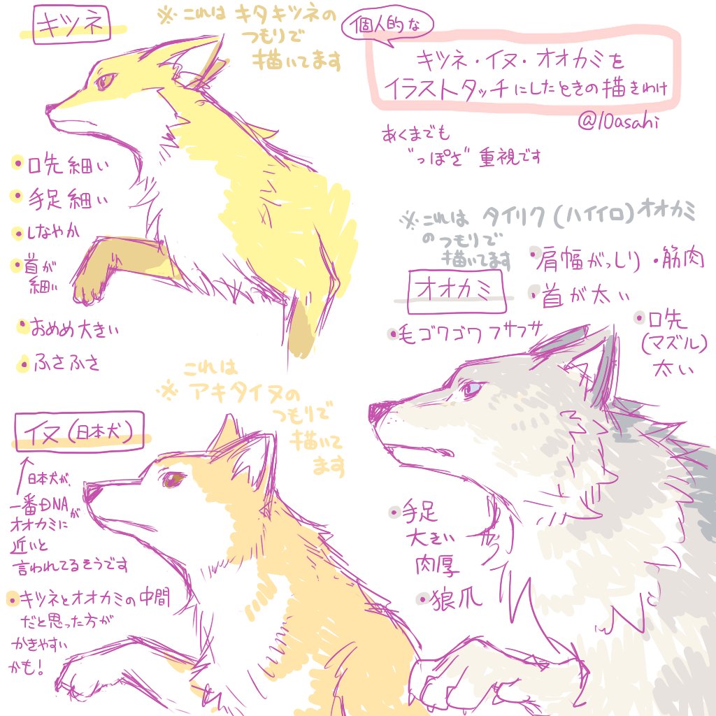 天満 Booth通販中 動物描くの好きなんだよ ということでこういう感じに描いてるんだよっていう 講座ではないですけれど そんな大層なもんじゃない 個人的なキツネ イヌ オオカミの描き方です キツネとオオカミの基本パターンさえ決まってればイヌは