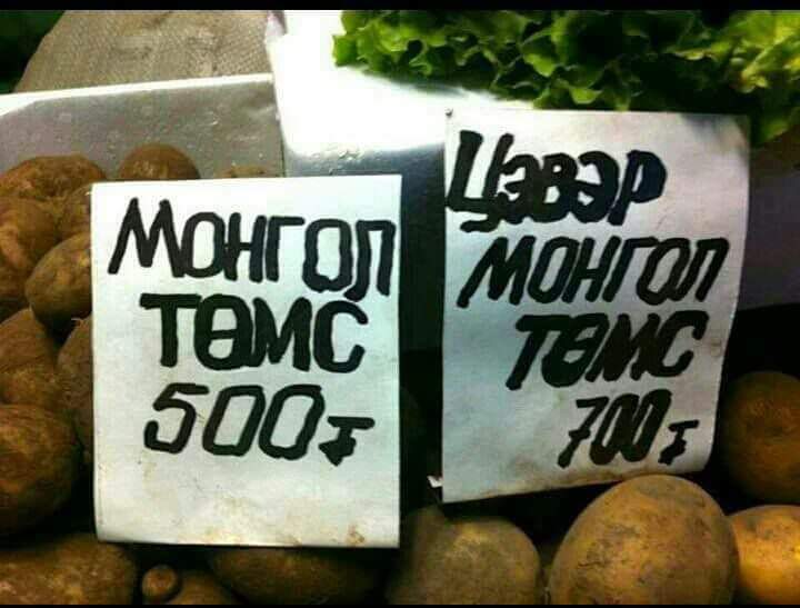 Нэг иймэрхүү л юм яриад явхым даа 😉