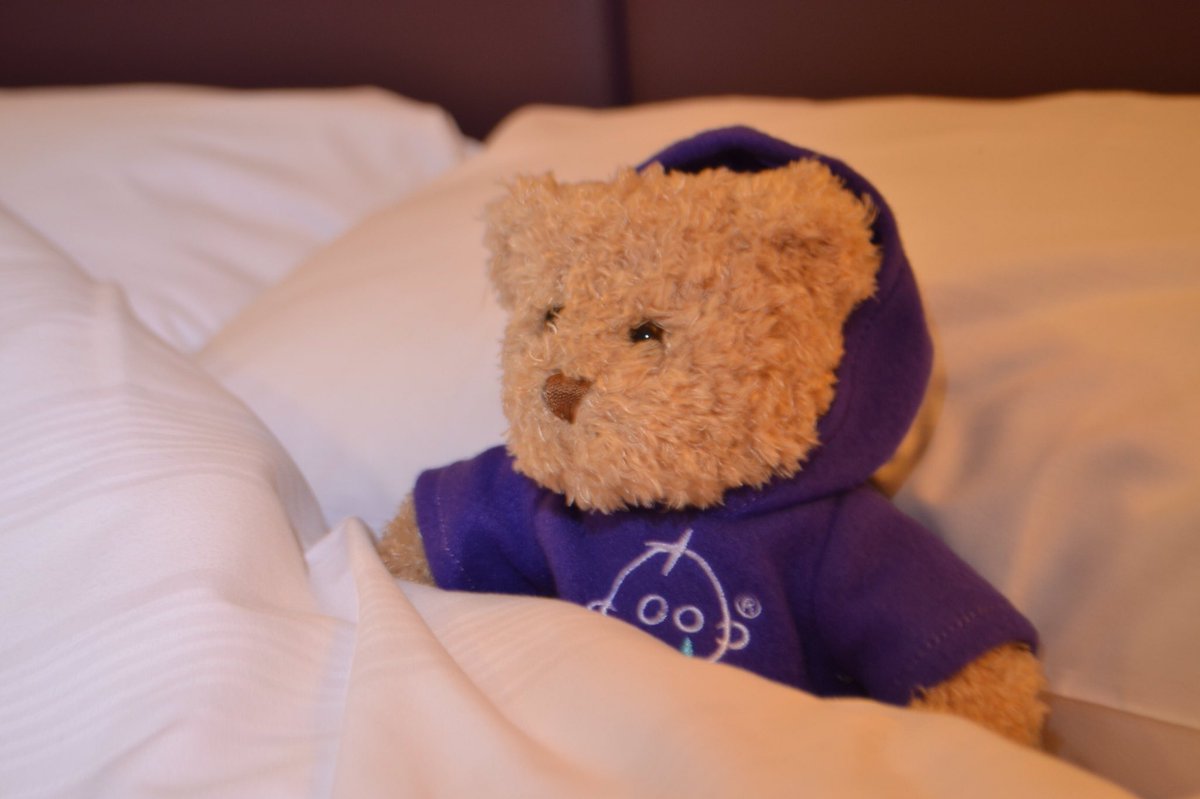 Bernard all tucked up for bed!!@bernardnclapsth <a href="/GreatOrmondSt/">Great Ormond Street Hospital for Children</a> <a href="/premierinn/">Premier Inn</a>  #premierinn#gosh#charity#newcastleairportsouth