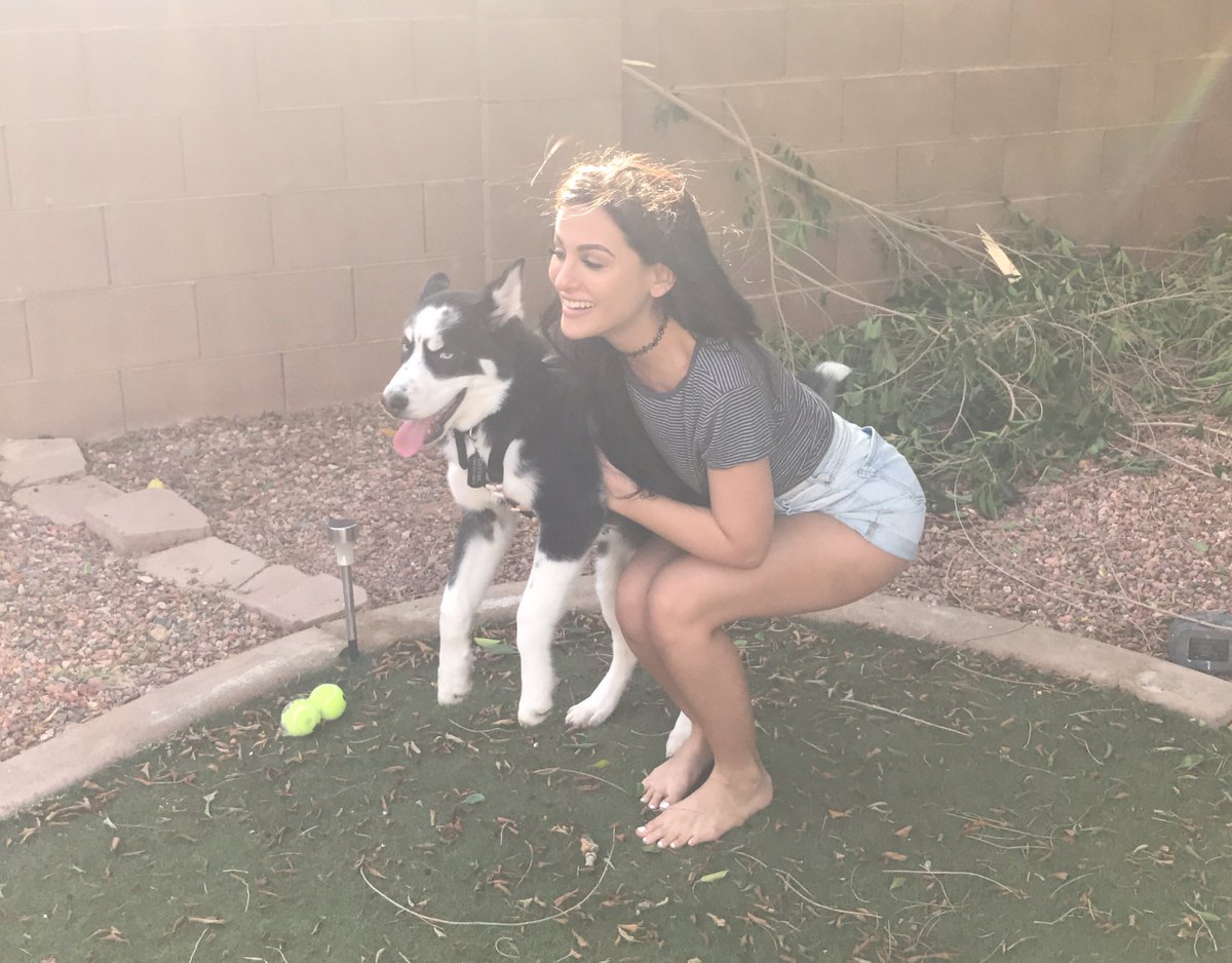 sssniperwolf's tweet photo. New doggo who dis https://t.co/98GRsIRnrR
