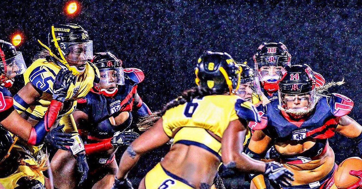 Mitchell Mortaza tweet media