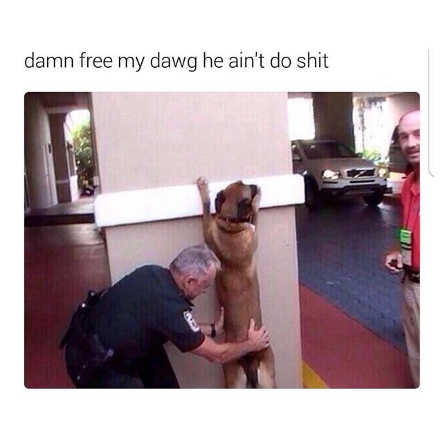 WORLDSTAR's tweet photo. Free my dawg 🙏💯 https://t.co/5eTYKatMgk