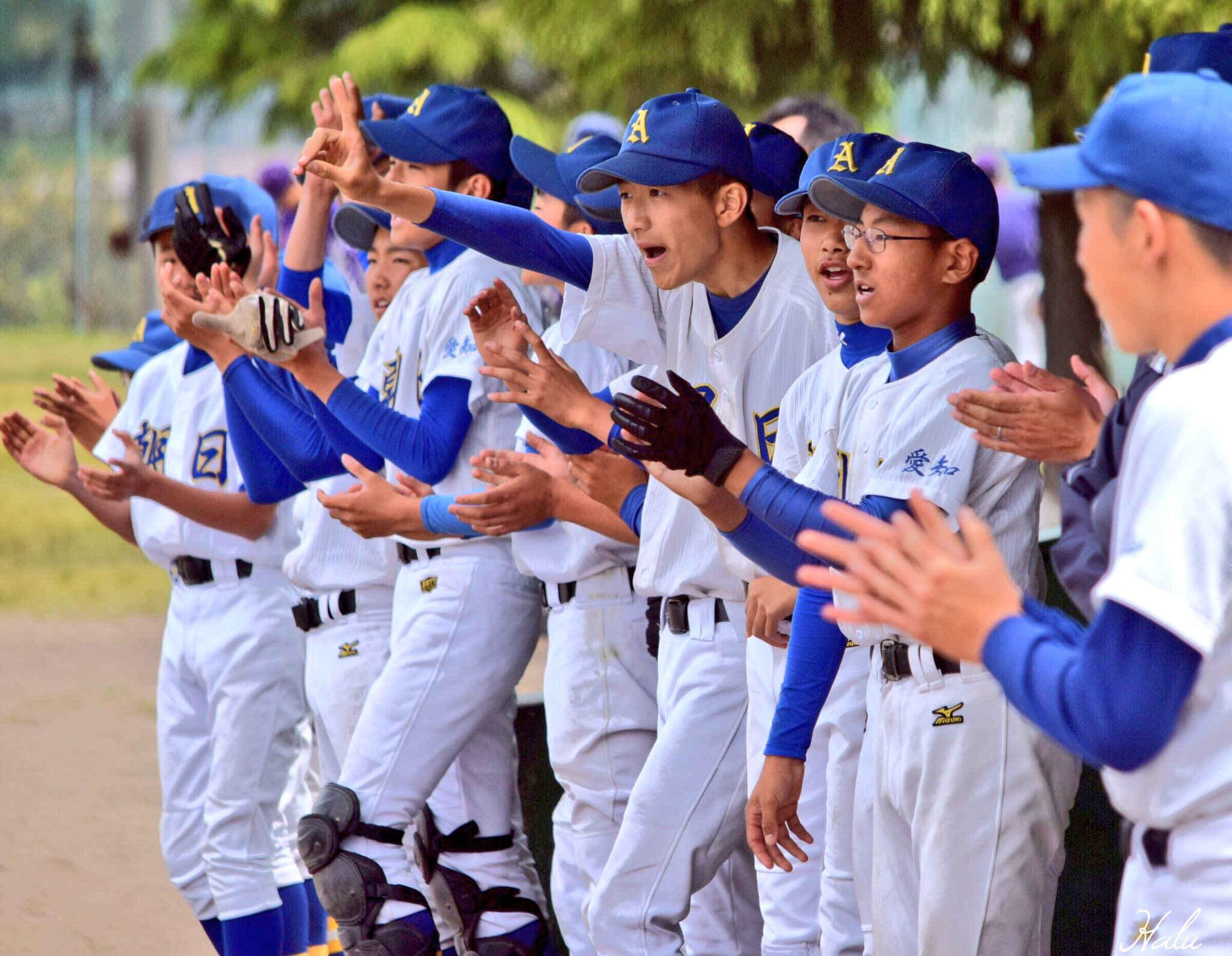 X-এ HALUHI@高校野球・中学野球: 