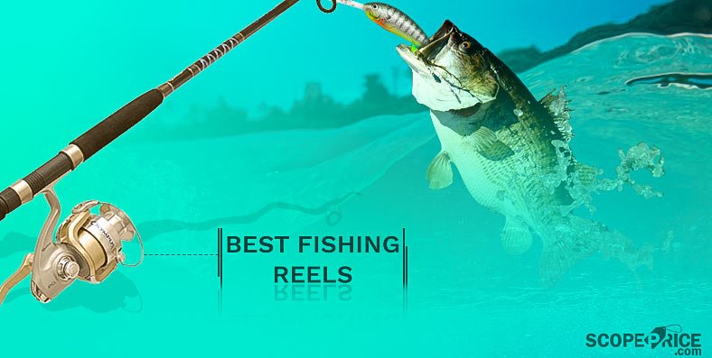 Selconi_Loren's tweet photo. 10 Best Fishing Reels Review 2017
#fishing #SpinningReel #AdventureTime  
https://t.co/733ZtejC7K https://t.co/WLS4rTGyKg
