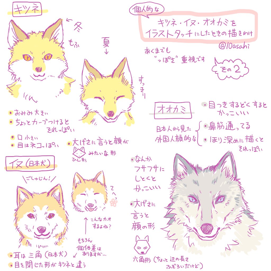 美しい花の画像 これまでで最高の狼 イラスト 正面