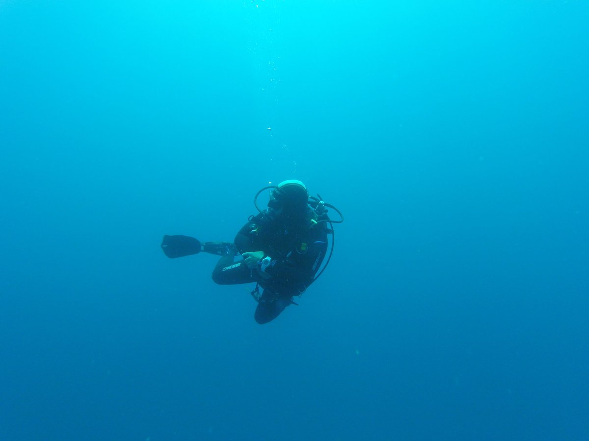alexandros_venn's tweet photo. #DivingStore #scubadiving  #Padi #Greece https://t.co/cgxgkgmU7H