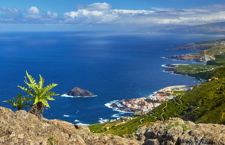 aTenerifeGuide's tweet photo. Unusual places to visit in #Tenerife and one of the best RCI #resorts on the #island - via @LiveShareTravel   https://t.co/fnJ0CTii93 https://t.co/QRj5FIWFKD
