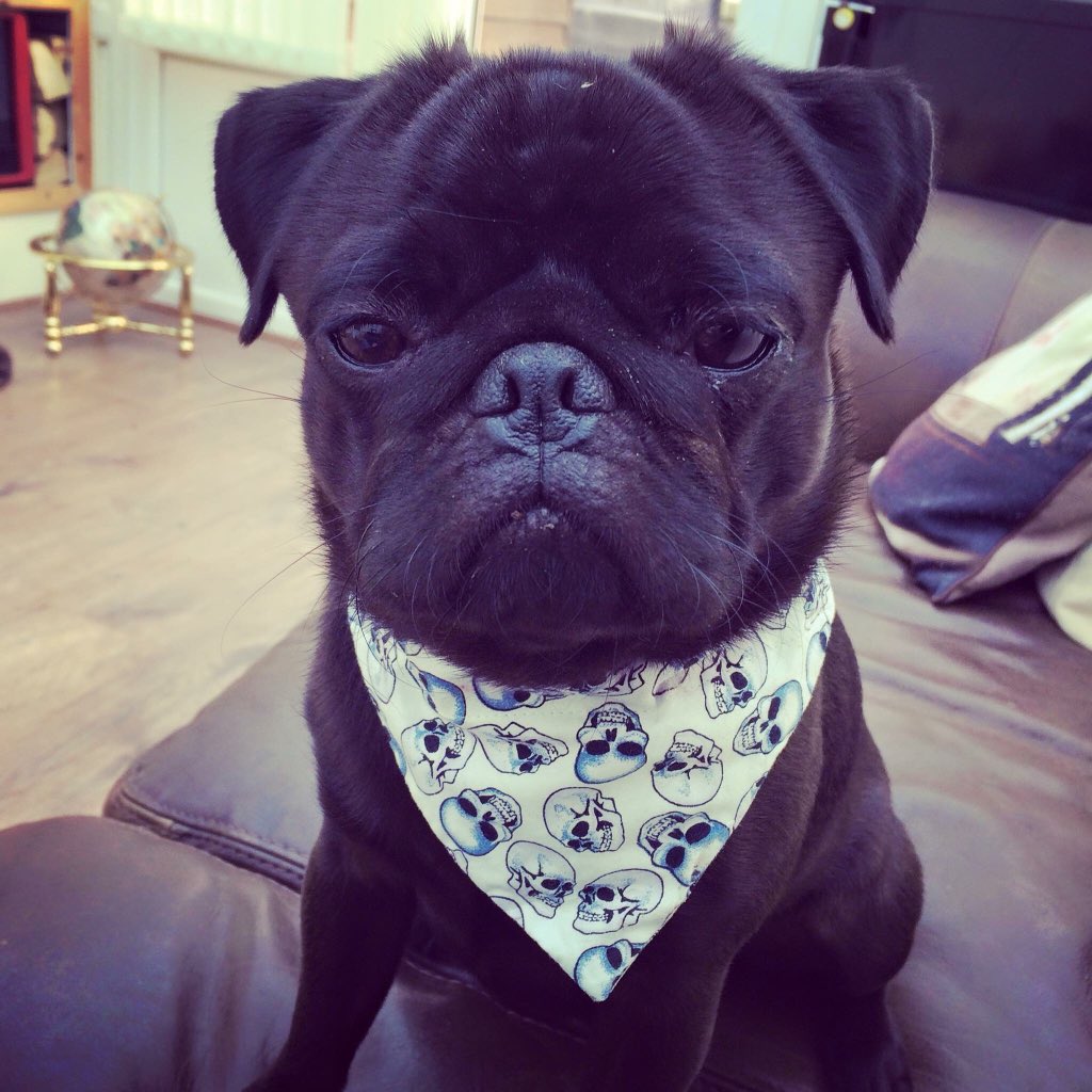 @madebydbm Hey Barney 👋🏽, I too get pimped out. Love P Diddy x