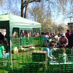 Photo by Tottenham Green Market (@markettottenham)