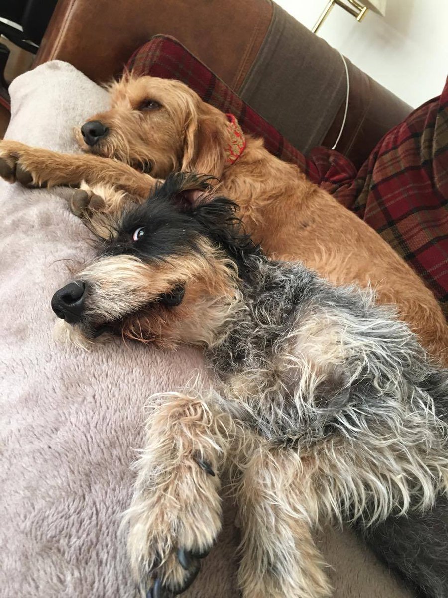 EarSolv's tweet image. Did I hear a crisp packet rustle?