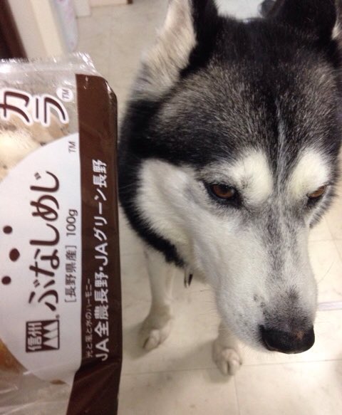 志水アキ 中禅寺先生4巻7 15 しめじ みょうが 豚耳