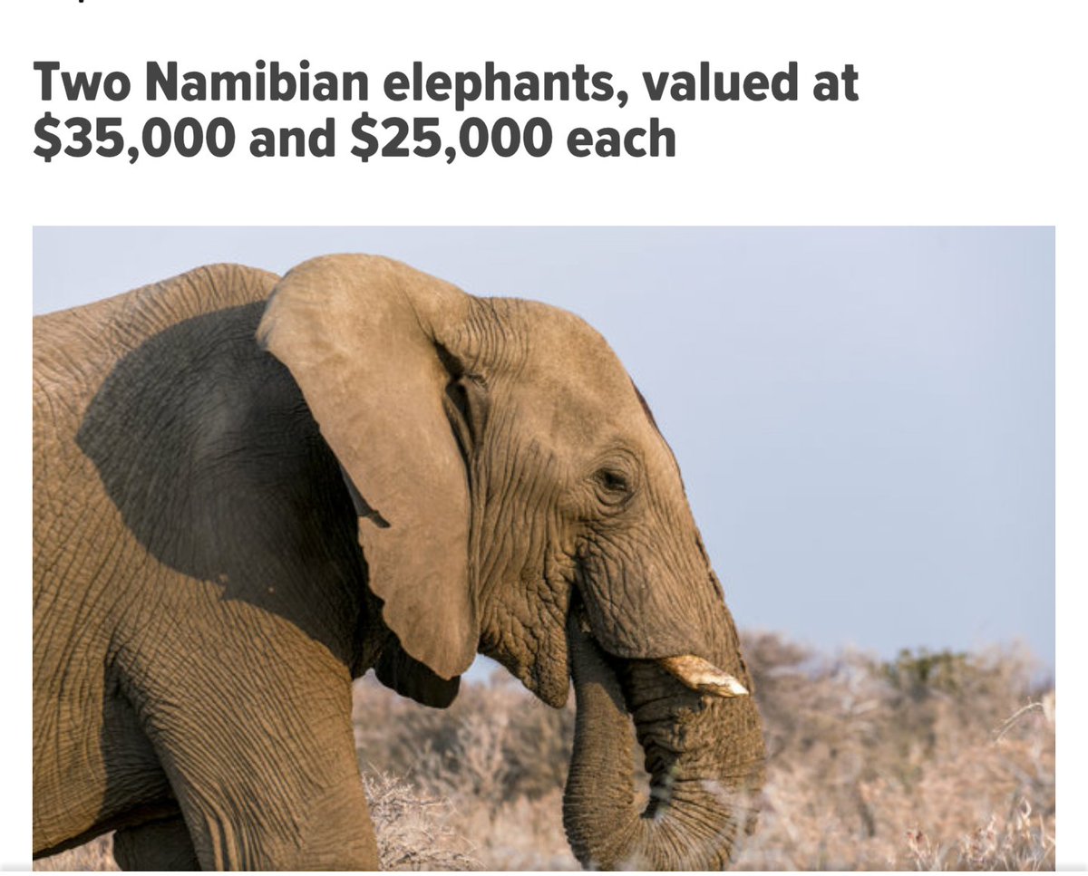 CBTHunting's tweet photo. An auction of trophy hunting passes said this is what elephants are 'worth'. RT if u agree elephants are priceless. https://t.co/Z8P3WTCrl3
