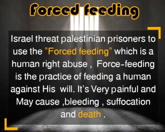cstn84's tweet photo. Molti prigionieri palestinesi al 21° giorno di sciopero della fame sono soggetti a alimentazione forzata!

https://t.co/3UP4CmLpJy