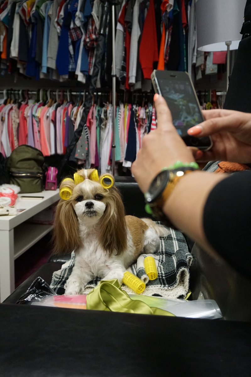 MsCSalt's tweet photo. You can watch my Lilly on TV commercial soon! https://t.co/SrZk8tIzw2