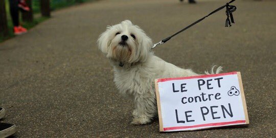 paws_for_effect's tweet photo. Les chiens joingnent la lutte contre Le Pen. "Dogs join the fight against #LePen" #LePetContreLePen #France #Macron https://t.co/RaF8BTQkzb https://t.co/hVIdg9TgzK