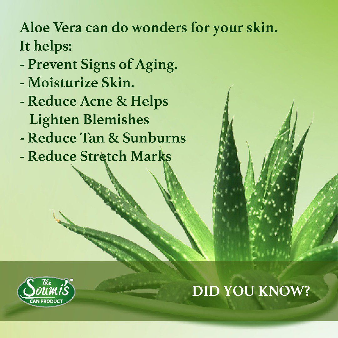 We use ingredients from nature & Aloe Vera is one of them. #FunFacts #Facts  #NatureFacts #SundayFunday #SoumisHerbalProduct #SummerCare
