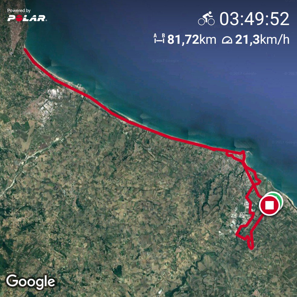 2803gio's tweet image. #PolarBeat