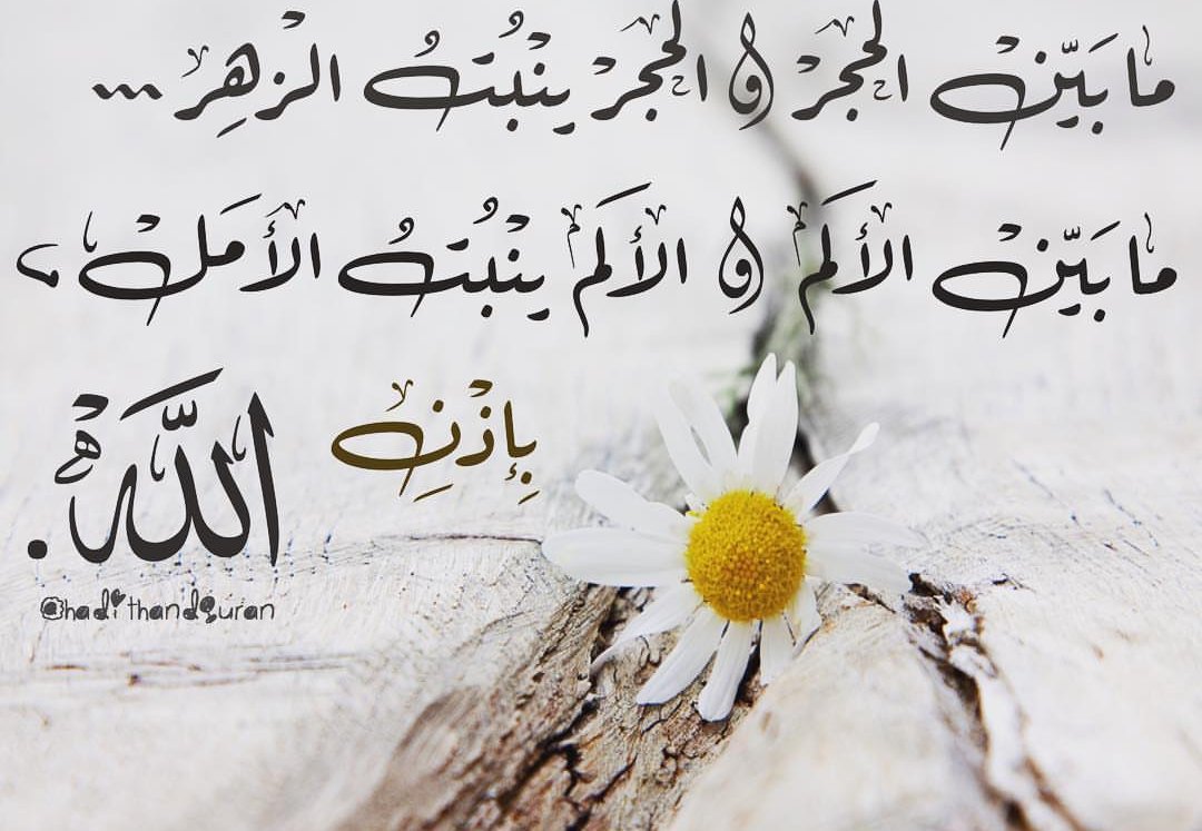 Abo Yammen tweet media