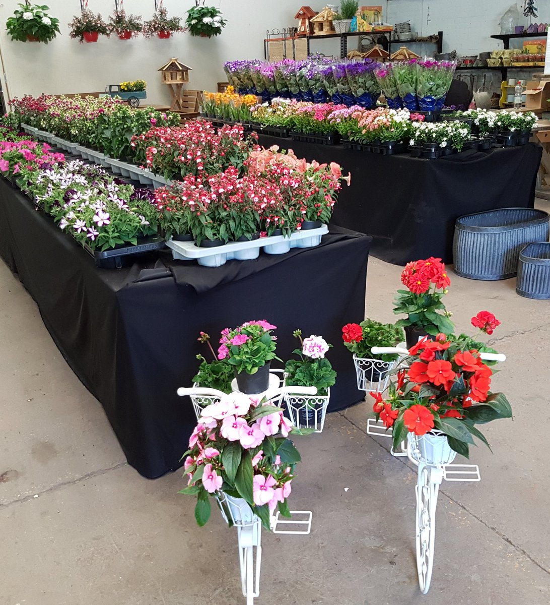 Bloomin Al's tweet media