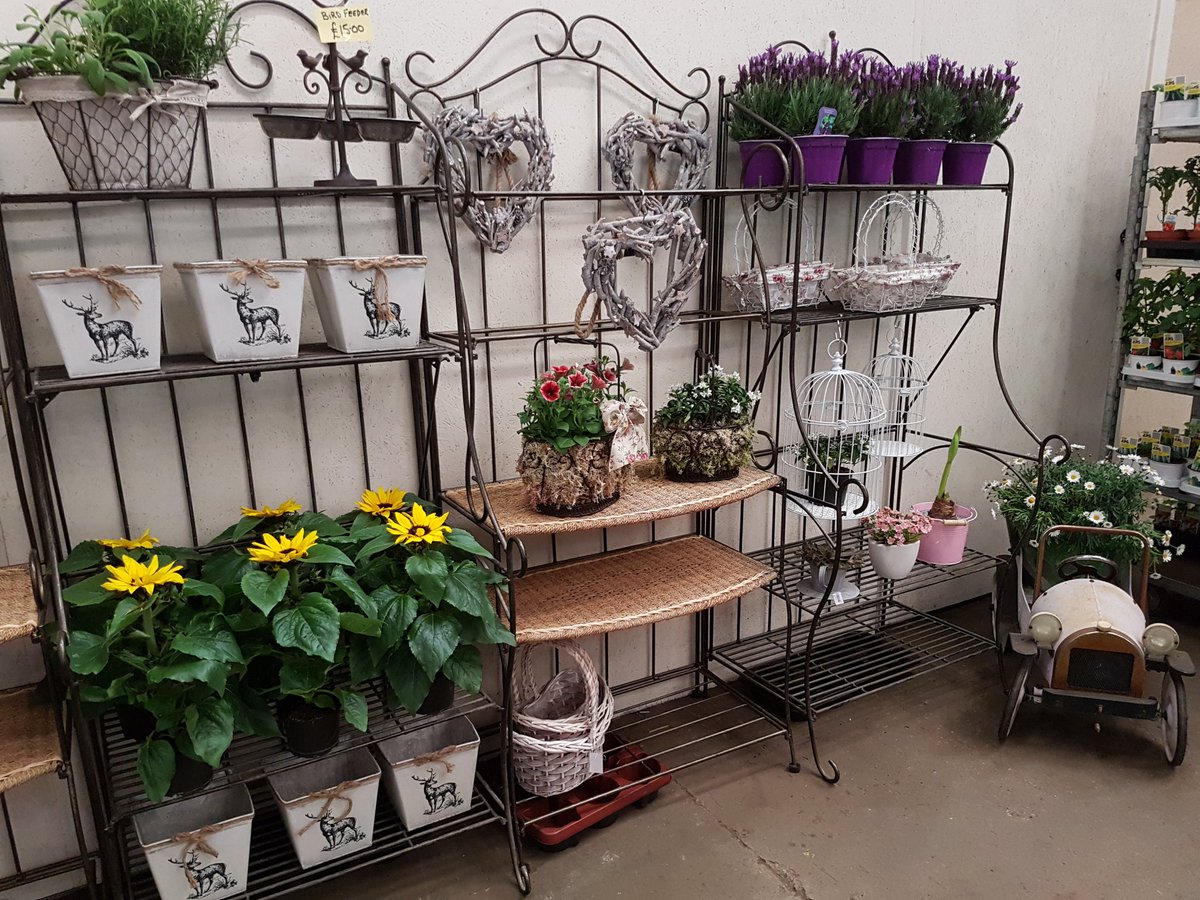 Bloomin Al's tweet media